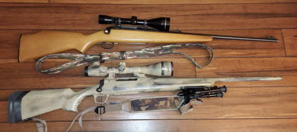 .308 vs .30-06 for Bolt Action Rifles: A Comprehensive Guide